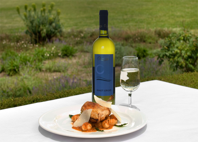 ABBINAMENTO Pinot Grigio - Pinot grigio, vino bianco da pasto e da apertivo