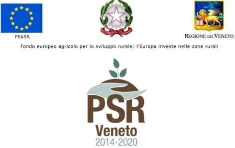Misura 6.1.1. Insediamento Giovani Agricoltori Tipo Intervento 4.1.1. PG/AZ